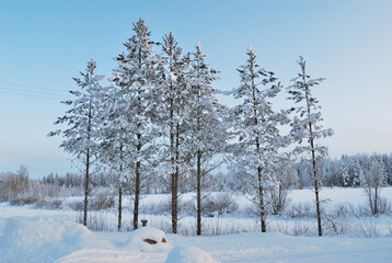 Wonderful winter morning in Finland