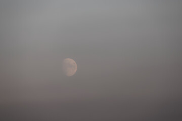 Mond