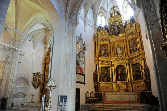 San Isidoro Del Campo San Isidoro Del Campo