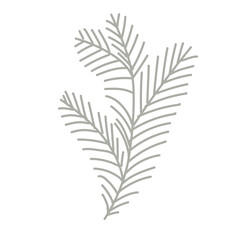 Simple plant decoration in doodle style. Simple decor for a festive Christmas and New Years. Vector illustration isolated on white background.