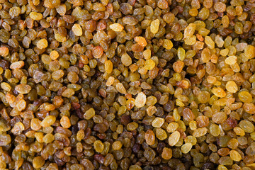 yellow and orange Raisins as an abstract background texture