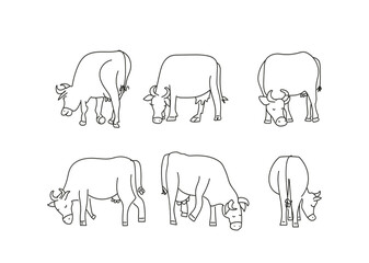 cows graze, contour  simple sketch vector illustration set