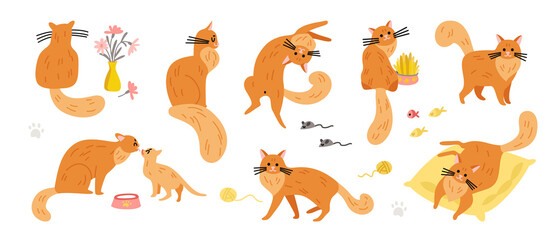 Obraz premium Ginger Cats Icons Collection