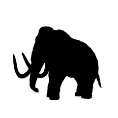 Obraz premium Dinosaur silhouette