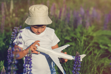 boy 6 years old in summer field of lupines plays with toy plane on sunny day