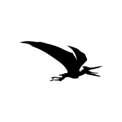 Dinosaur silhouette