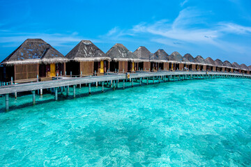 Fototapeta premium Maldives Islands Ocean Tropical Beach