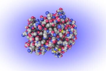 Space-filling molecular model of human cathepsin D in complex with macrocyclic inhibitor 14. Rendering based on protein data bank. Scientific background. 3d illustration