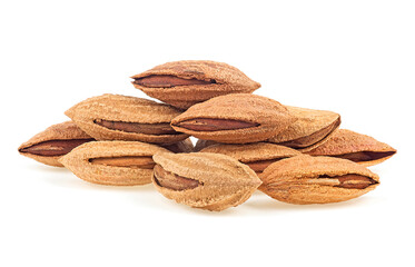 Almond nuts in shell isolated on a white background, front view.
