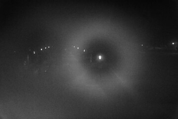 Laterne im Nebel - Film noir