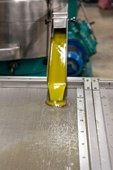 transformation of olives into oil in an oil mill in greece