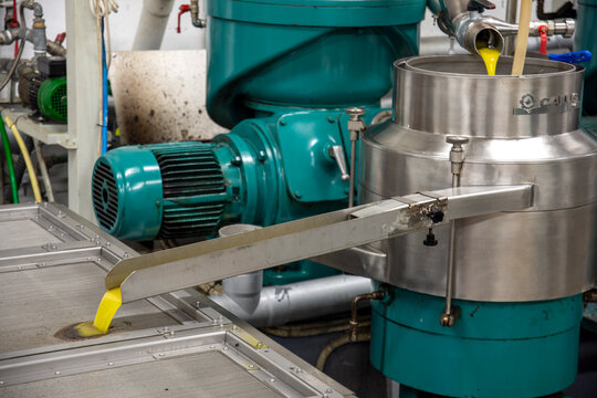 transformation of olives into oil in an oil mill in greece