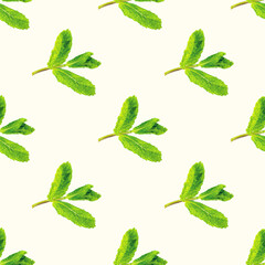Fresh green mint (peppermint, spearmint) branch with leaves repeat seamless pattern on light background.
