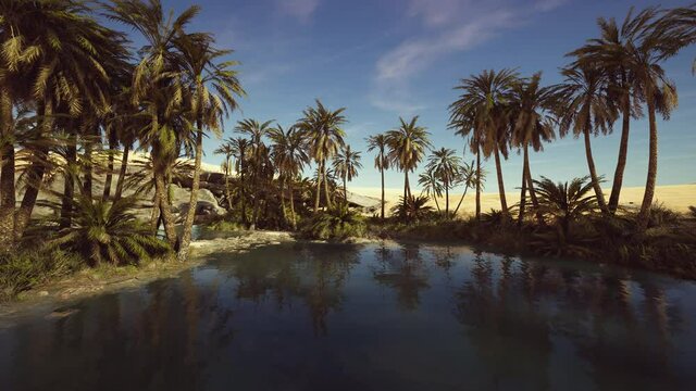 Idyllic oasis in the Sahara Desert