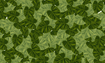 green tropical leaves fresh spring,relax nature wallpaper background