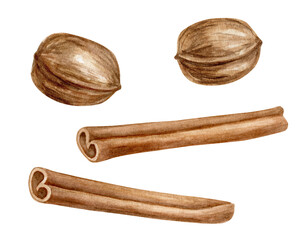 Watercolor fall and winter spices illustration. Hand painted cinnamon sticks and walnuts isolated on white background. Organic eco Christmas decorations drawing