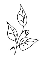 Hand drawn branch with leaves. Doodle vector illustration. Isolated icon on the white background. EPS 10.