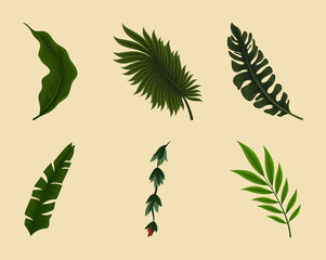 icons leaf jungle