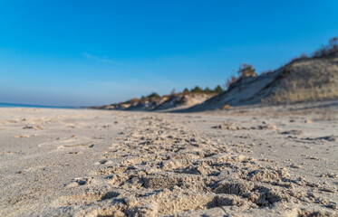 sea coast on an autumn day beach close up