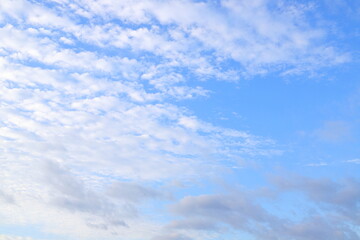 巻積雲　イワシ雲　サバ雲　うろこ雲