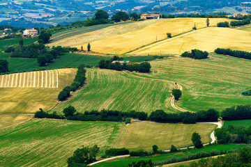 Rural landscape along the road from Fano to Mondavio, Marche