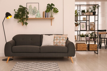 Modern living room interior with comfortable sofa and beautiful plants