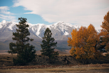 autumn in the mountains