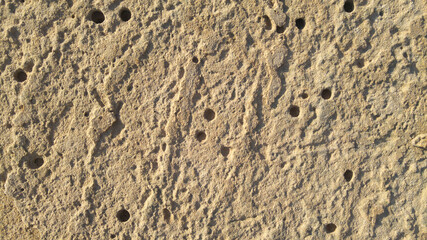 Texturas - Roca marina agujeros