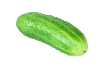 Fresh cucumber on an isolated white background.