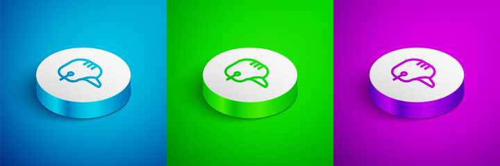 Isometric line Baseball helmet icon isolated on blue, green and purple background. White circle button. Vector