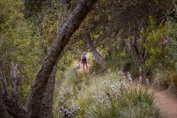 Fotógrafo caminando por un sendero en el bosque