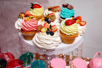 cupcakes with multicoloured cream on white tray