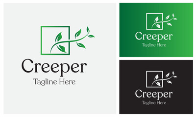Creeper Logo Design Template. Twisted jungle vines liana plant Cowslip creeper vine with heart-shaped green leaves.