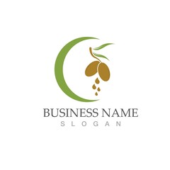 olive icon vector illustration