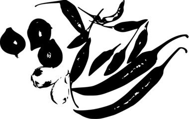 illustration of a Chili hot pepper and onion