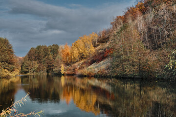 autumn in the forest