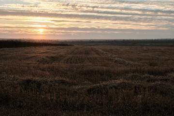 Sunset over the harvest field for