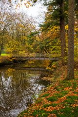 wooden bridge in autumn forest in nature area singraven
