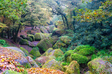 Frankreich, Bretagne, Finistere, Huelgoat, Märchenwald, Legendenwald, Steinformationen, Herbstwald
