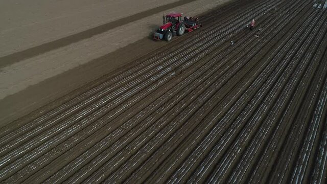 Farmers use planters to plant plastic coated peanuts on farms, North China