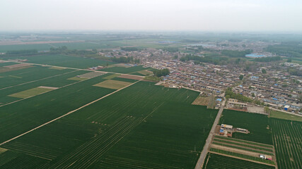 Fototapeta na wymiar Farmland and villages are in the North China Plain