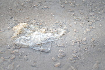 Used plastic bag and Salp Jelly balls are thrown on the seashore of a beach. It’s pollution on the beach.