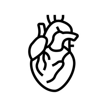 heart human organ line icon vector. heart human organ sign. isolated contour symbol black illustration