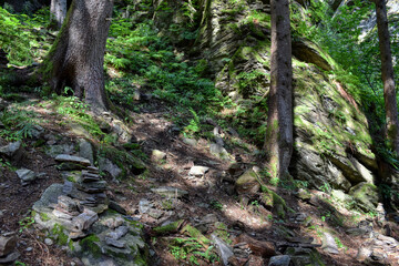 Raggaschlucht, Weg, Wald, Wanderweg, Ragga Schlucht, Schlucht, Klamm, Mölltal, Flattach, Nadelwald, Baum, Baumstamm, Bäume, Kärnten, Oberkärnten, Bach, Raggabach, Kreuzeck, Kreuzeckgruppe, eng, tief, 