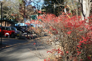 ⒒月、秋の軽井沢、紅葉の葉も散り町は冬の準備、