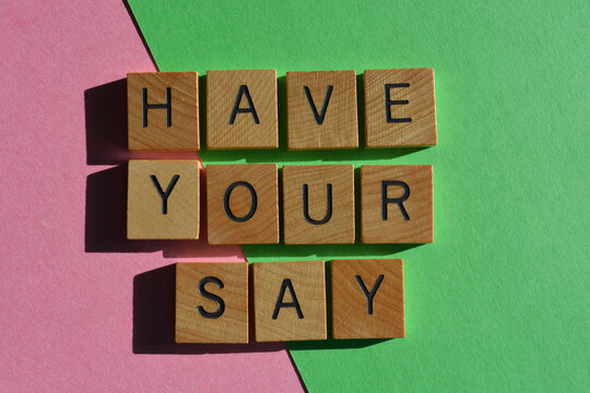 Have Your Say, phrase 