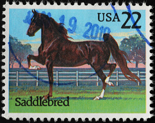 Saddlebred horse on american postage stamp