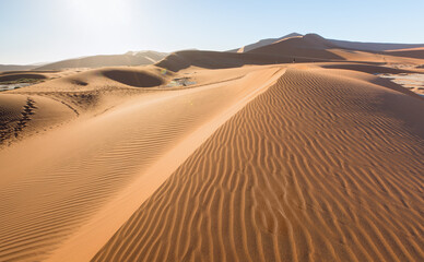 Fototapeta na wymiar Orange sand dune with blue sky - Sossusvlei, Namib desert, Namibia, Southern Africa