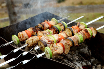 Cooking meat and vegetables on brazier outdoors