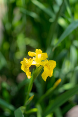 川と古い街並み